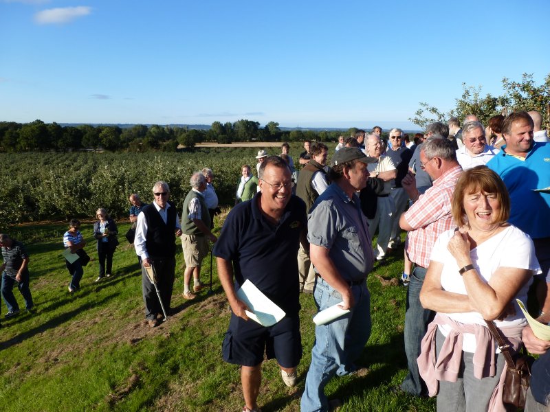 What fun, walking the winning orchards